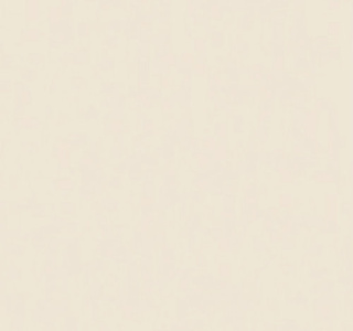 S-004-IVORY